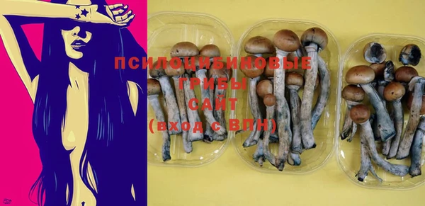MESCALINE Белокуриха