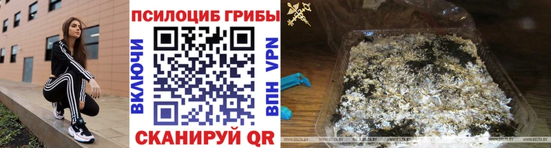 Галлюциногенные грибы MAGIC MUSHROOMS  Купить  Элиста 